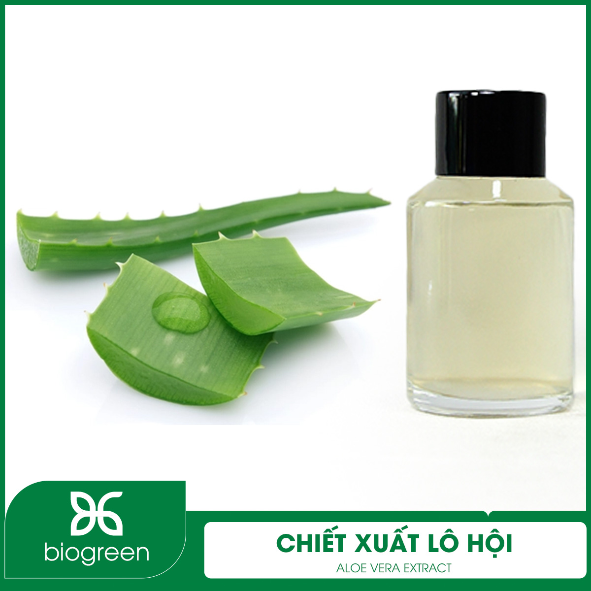 Ứng dụng của chiết xuất lô hội như thế nào?