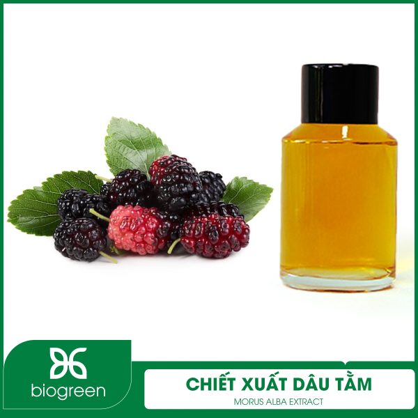 Ưu điểm của chiết xuất dâu tằm là gì?